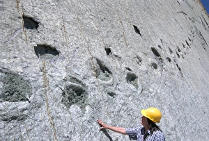 Trail Prints: The worlds longest dinosaur tracks, Cretaceous Titanosaurus, near Sucre