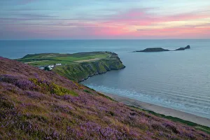 Heather Prints: Worms Head and Rhossili Bay with Heather-clad cliffs
