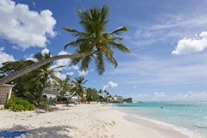 Barbados Prints: Worthing Beach, Christ Church, Barbados, West Indies, Caribbean, Central America
