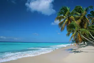 Walk Prints: Worthing Beach on south coast of southern parish of Christ Church, Barbados