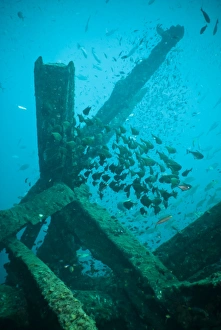 Wreck Prints: Wreck diving, Southern Thailand, Andaman Sea, Indian Ocean, Southeast Asia, Asia