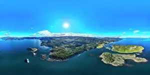 Local Flora Prints: Wulaia Bay, Tierra del Fuego, Chile, South America