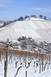 Images Dated 3rd December 2010: Wurttemberg Mausoleum in the vineyards in winter, Stuttgart-Rotenberg, Baden Wurttemberg, Germany