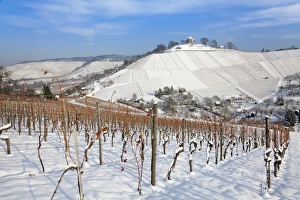 Images Dated 3rd December 2010: Wurttemberg Mausoleum in the vineyards in winter, Stuttgart-Rotenberg, Baden Wurttemberg, Germany