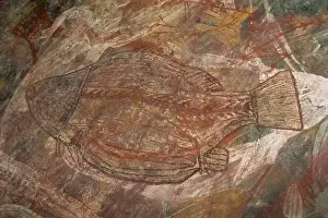 Rock Art Prints: X-ray style fish at the Aboriginal rock art site at Ubirr Rock, Kakadu National Park