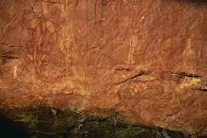 Kakadu Prints: X-ray style fish, turtle, wallaby and white man at the Aboriginal rock art site at Ubirr Rock