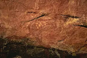 Rock Art Prints: X-ray style painting of a wallaby at the Aboriginal rock art site at Ubirr Rock