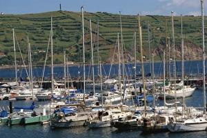 Yacht anchorage, Horta, Faial, Azores, Portugal, Atlantic, Europe