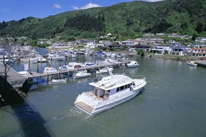 Arrive Prints: Yacht entering Picton Marina