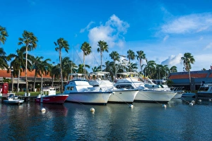 Yachts Prints: Yacht harbour in downtown Oranjestad