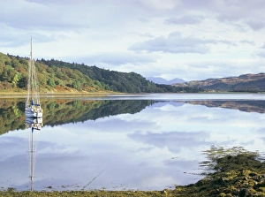 Argyll And Bute Prints: Yacht on Loch Feochan in autumn