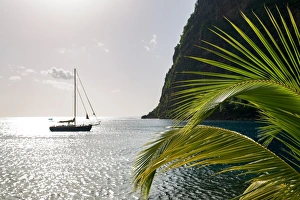 Arecaceae Prints: Yacht moored close to the base of Petit Piton, UNESCO World Heritage Site, near Sugar