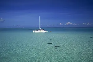 Cayman Islands Prints: Yacht moored in the North Sound, with stringrays visible beneath the water