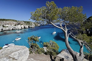 Menorca Prints: Yachts anchored in cove, Cala Macarella, near Cala Galdana, South West Coast, Menorca