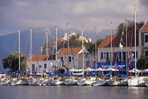 Yachts in the harbour