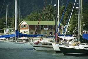 Rarotonga Prints: Yachts stern to quay, Avatiu Harbour, Rarotonga, Cook Islands, Pacific