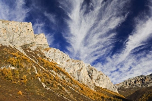 Szechuan Prints: Yading Nature Reserve, Sichuan Province, China, Asia
