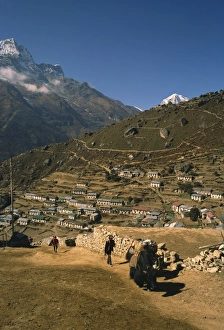 Yak used for transporting goods leaving the village