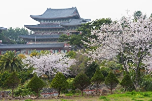 Worship Prints: Yakcheonsa Buddhist temple, Seogwipo City, Jeju Island, South Korea, Asia