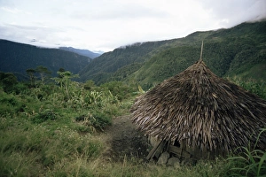 Yali house
