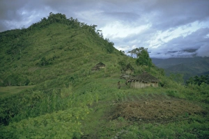 Unadorned Prints: Yali village