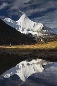 Yangmaiyong, Yading Nature Reserve, Sichuan Province, China, Asia