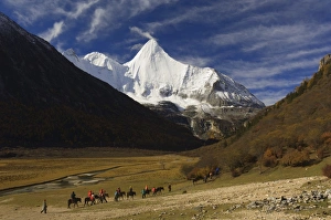 Sichuan Province Prints: Yangmaiyong, Yading Nature Reserve, Sichuan Province, China, Asia
