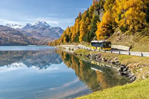 Engadine Prints: Yellow bus travelling on shores of Lake Silvaplana in autumn, St