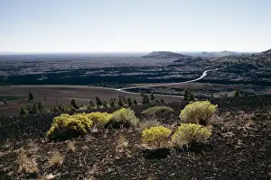 Unadorned Prints: Yellow flowering plants and loop road seen from Inferno cone