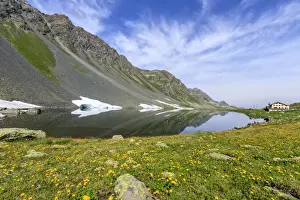 Wild Flower Prints: Yellow flowers frame the rocky peaks reflected in Lake Schottensee, Fluela Pass canton