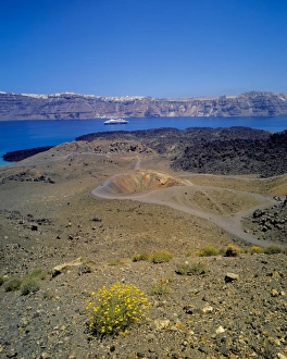 Yellow flowers and view of Nea Kameni islet