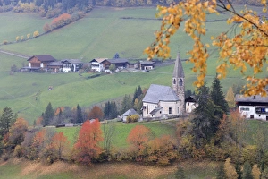 Autumnal Scene Prints: The yellow leaves of a larch frame the alpine church in the fall