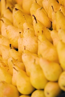 Xining Prints: Yellow pears for sale, Xining, Qinghai, China, Asia