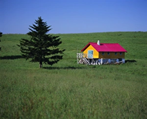 Yellow and red house