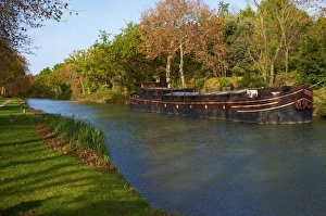 Yellow and red leaves in autumn along the Canal du Midi, UNESCO World Heritage Site