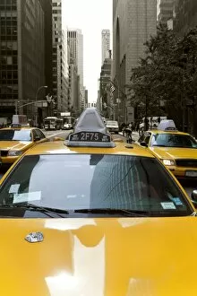 Images Dated 14th October 2009: Yellow taxis along Fifth Avenue, Uptown Manhattan, New York City, New York