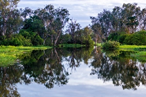 Northern Territory Prints: Yellow Water billabong and wetland, Kakadu National Park, UNESCO World Heritage Site