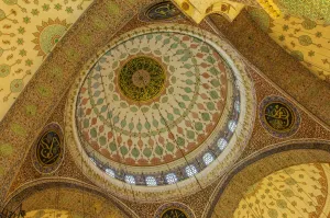 Traditionally Turkish Prints: Yeni Cami or the New Mosque, Domes and cupolas, Istanbul Old city, Turkey