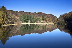 Autumn Scene Prints: Yew Tree Tarn on a sunny autumn day