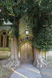 Lantern Prints: Yew trees and door of St. Edwards Church, Stow-on-the-Wold, Cotswolds, Gloucestershire