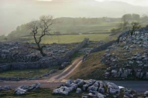 Moody Prints: Yorkshire Dales near Settle, Yorkshire, England, United Kingdom, Europe