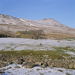 Farm Houses Prints: Yorkshire Dales in winter, North Yorkshire, England, United Kingdom, Europe