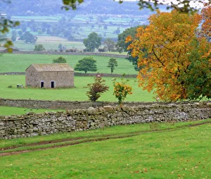 Fall Prints: Yorkshire Dales, Yorkshire, England, UK, Europe