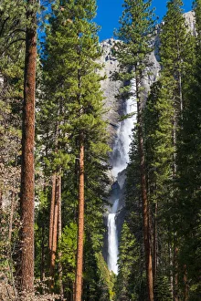Yosemite Falls, Yosemite National Park, UNESCO World Heritage Site, California, United