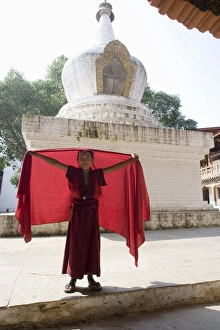 Elementary Age Prints: Young Buddhist monk, Punakha Dzong, Punakha, Bhutan, Asia