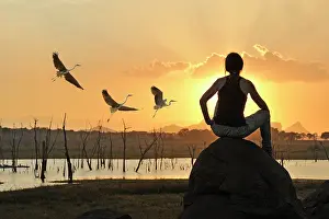 Lanka Prints: Young woman admiring a flight of grey heron at sunset by the Senanayake Samudraya Lake