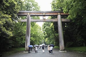Images Dated 11th May 2008: Yoyogi Park, Harajuku, Tokyo, Japan, Asia