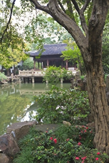 Shanghai Prints: Yu Yuan (Yuyuan) Gardens, Shanghai, China, Asia
