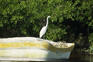Yucatan, Mexico