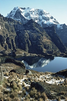 Bolivian Prints: Yungas Highlands, Bolivia, South America